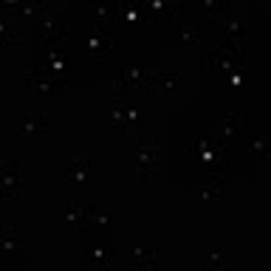 Meet your Posher, Brooklyn